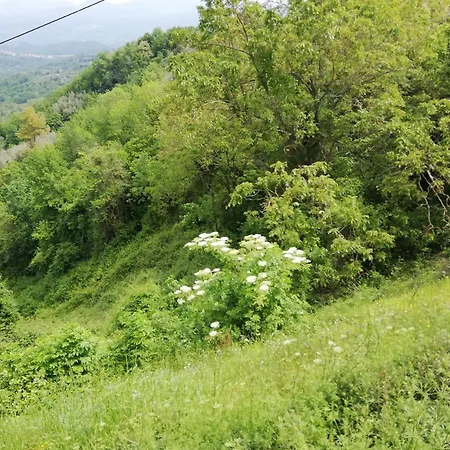Casa Nonna Elda * Tendola
